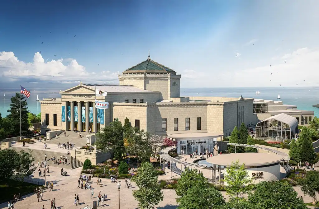 Luxury limo service to Shedd Aquarium featuring a sleek black stretch limousine parked near a waterfront museum setting, showcasing premium transportation and elegance in Chicago.